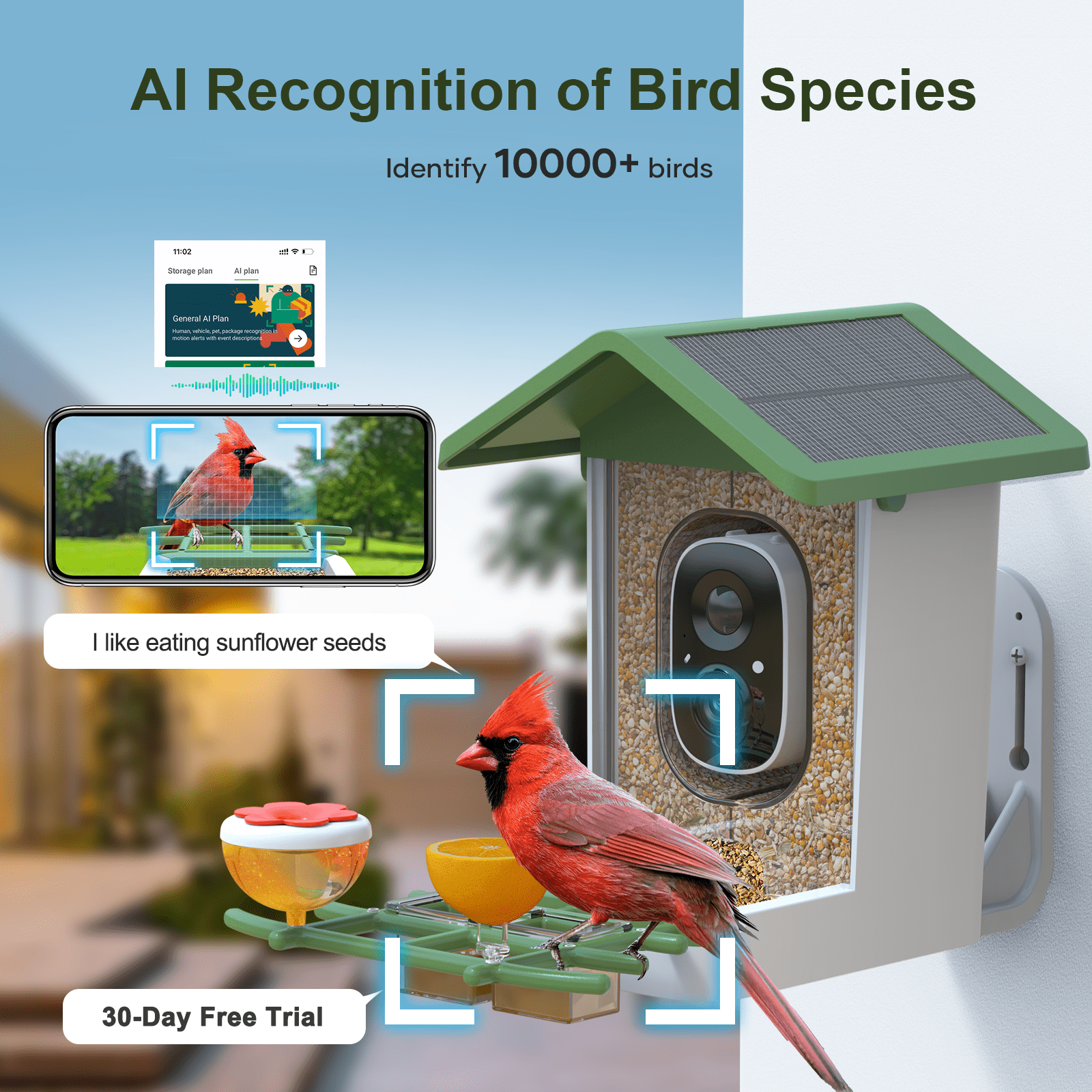 Smart Bird Feeder with Camera, Solar Powered Birdhouse Camera with AI Bird Recognition, Outdoor Wireless WiFi Bird Feeder with Live Video, Fun Gift for Mom, Grandma, Daughter