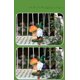 thumbnail image 5 of Estatuas de gnomo de jardín – Figura de gnomos de ardilla de resina con luces LED solares en forma de hongo en el tronco, decoraciones de primavera al aire libre para patio, jardín, porche, adorno de, 5 of 6
