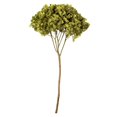 thumbnail image 1 of Vickerman H1HYD125 15-18 in. Antique Moss Hydrangea Stems, 1 of 1
