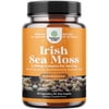 Natures Craft Irish Sea Moss Capsules - Sea Moss Pills with 2100mg Serving Superfood Complex with Bladderwrack Burdock Root and BioPerine for Immune Skin & Thyroid Support - Vegan Non-GMO - 90 Count