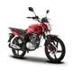 thumbnail image 1 of Motocicleta DT150 SPORT ROJO NEGRO Italika Motocicleta De Trabajo, 1 of 4