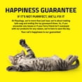 thumbnail image 6 of Play by Playology | Suction Cup Dragonfly & Spring Bird | Interactive Cat Toy, 6 of 6