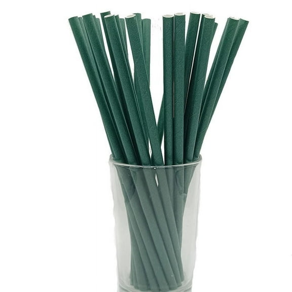 Namzi 100Pcs Biodegradable Paper Straws for Party Supplies,Birthday,Christmas Decorations-Dark Green
