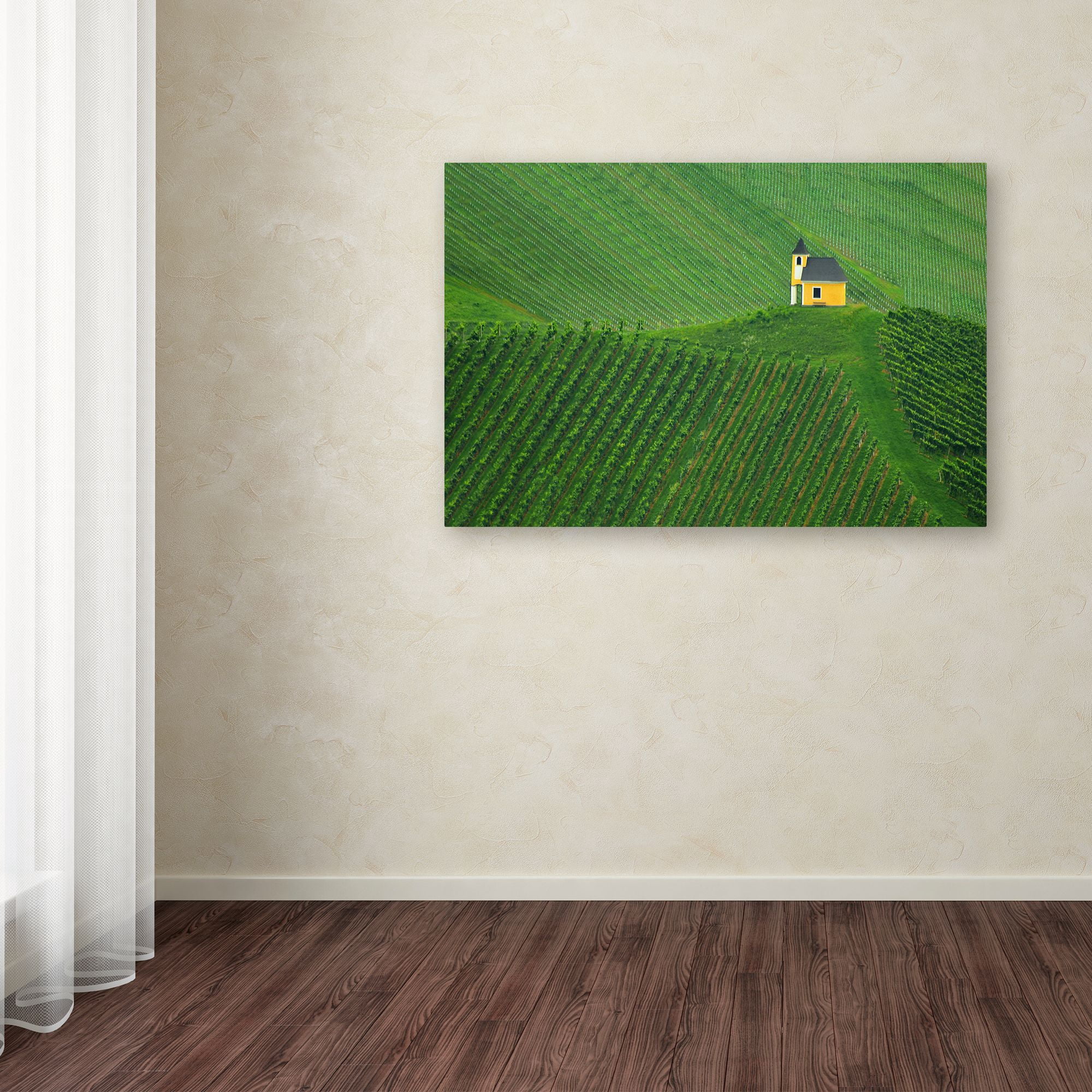 Trademark Fine Art 'Calmness' Canvas Art by Jure Kravanja