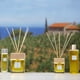 thumbnail image 3 of Spray de habitación Acqua dell'Elba Limonaia Di Sant' Andrea 100 ml, 3 of 3