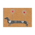 thumbnail image 1 of Funny Door Mats Outdoor Welcome Doormats Entrance Rug Farmhouse Decor Home Kitchen Floor Rugs for Kitchen mats, Front Back Doors, Pets and Dogs, Home Indoor Outdoor Decorations, 1 of 5