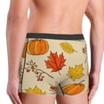 thumbnail image 3 of Fotbe Rustic Harvest Time Men’s Total Support Pouch Boxer Briefs, X-Temp Cooling, Moisture-Wicking Underwear, Regular, Long-leg and Trunk-Medium, 3 of 6