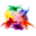 thumbnail image 3 of HUGFEGWE 2Pcs Feather Chinese Kick Shuttlecock Kids Toy Sport Exercise Sporting Goods Competition Flower Shuttlecock Random Color CA919-82959, 3 of 8