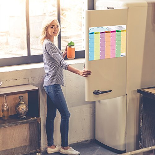 13 x 17inch Dry Erase or Wet Erase Laminated MultiColor Refrigerator