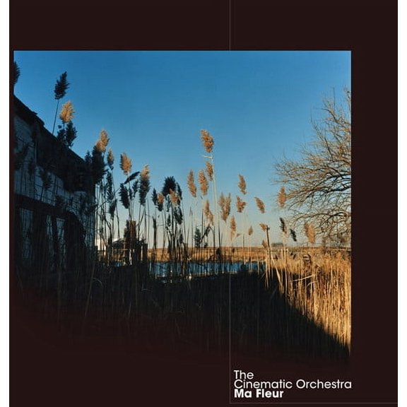 The Cinematic Orchestra - Ma Fleur - Music & Performance - CD