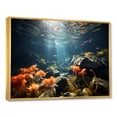 thumbnail image 2 of Designart "The Splendid Realm Of Corals" Coastal Coral Under Water Floater Framed Canvas Prints, 2 of 5