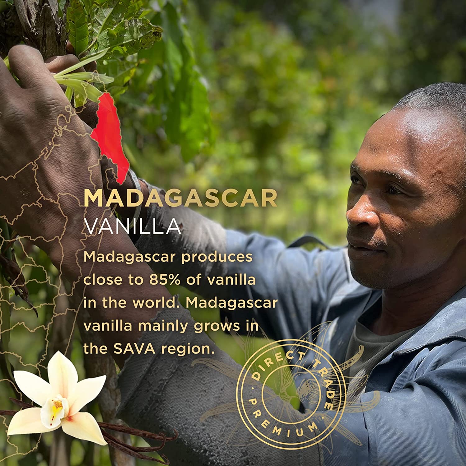 (Pack of 4) SAVA Trading Company Madagascar Vanilla Extract 4 fl oz