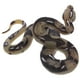 thumbnail image 2 of Modelo de serpiente de alta simulación juguete Big Realistic Snake Halloween Truco espeluznante Toy de serpiente de miedo, 2 of 6