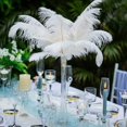 thumbnail image 1 of 5 Pieces Natural 35-40cm Ostrich Feather Plume Wedding Centerpieces Home Decoration, 1 of 5