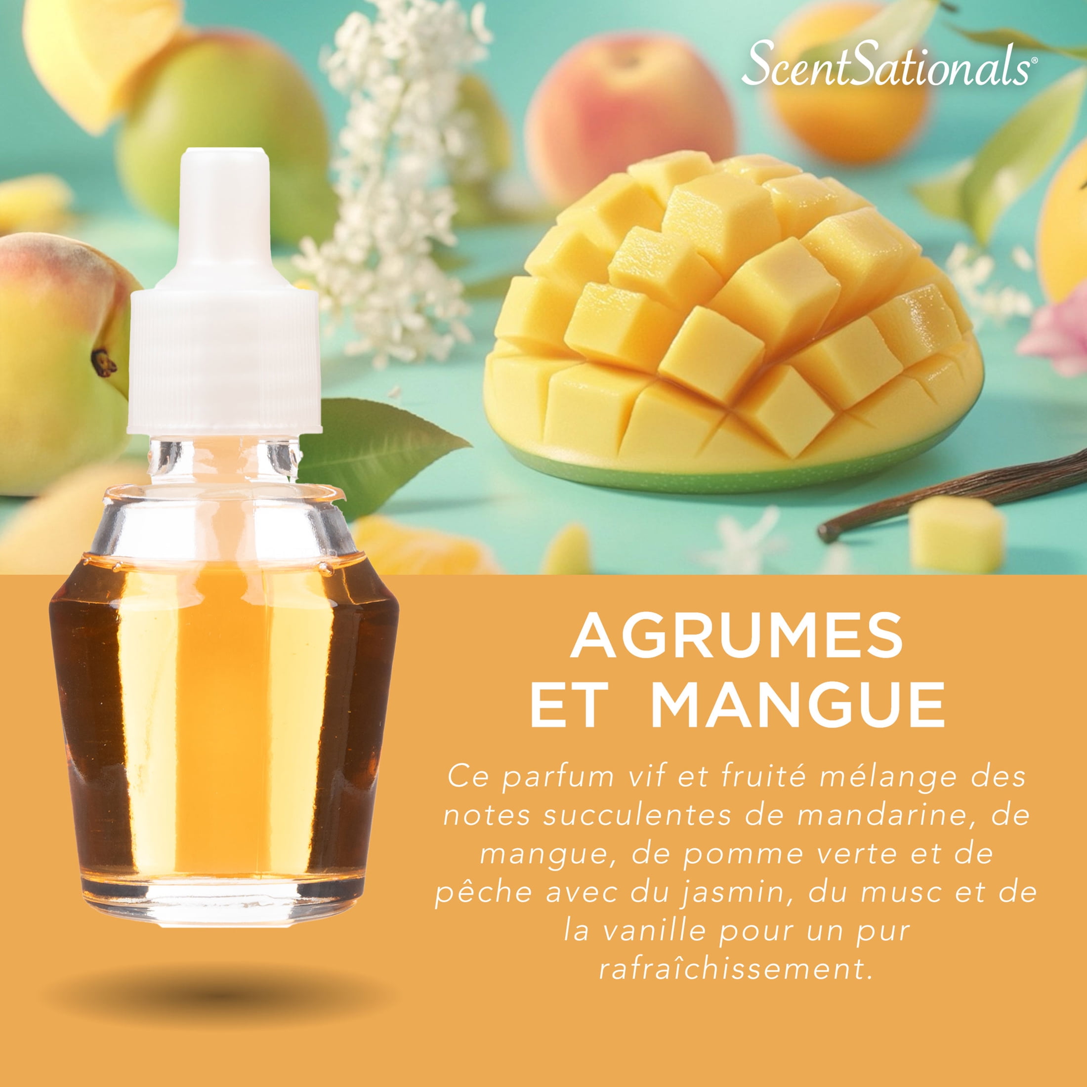 ScentSationals Scent Charm Oil - Citrus Mango, 0.8 Fl oz, 24 mL Refill