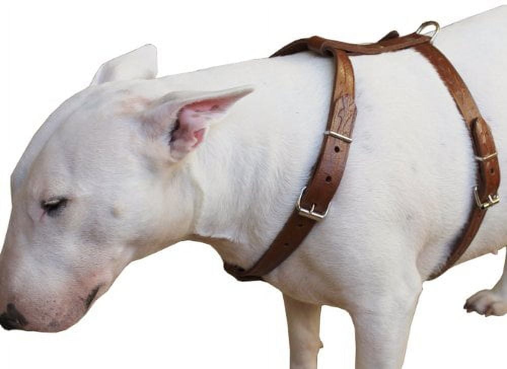Genuine Tooled Leather Dog Harness Medium. 22"-30" Chest, 3/4" Wide Straps, Boston Terrier