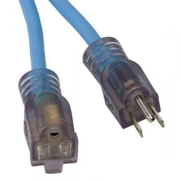 Rallonge Lumineuse 50 Pi.