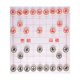 thumbnail image 2 of Xeyise 1 juego de ajedrez chino de madera con tablero de ajedrez de papel plástico, piezas de ajedrez Xiangqi tradicionales chinas para viajes, juego de mesa de estrategia, regalo para adolescentes y, 2 of 7