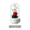 thumbnail image 2 of Eternal Rose Flower Aromatherapy Colorful Led USB Rechargeable Rose Plastic Dome Decoration, 2 of 9