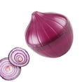 thumbnail image 5 of Product Category Closure Bags & Lids & Boxes | Product Title Onion Fresh Smart Storage Solution For Freshness And Fridge Organization, 5 of 5
