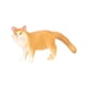 thumbnail image 4 of Juguetes de simulación BLESIY modelo de animales realistas de gato pequeño Amarillo, 4 of 8