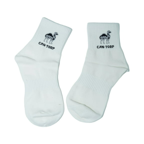 cantorp auspicious clouds and camel Soft Moisture-wicking Socks