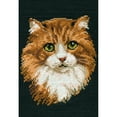 thumbnail image 2 of Red Cat Counted Cross Stitch Kit - 8.25" x 12" - 10 Count, 2 of 2