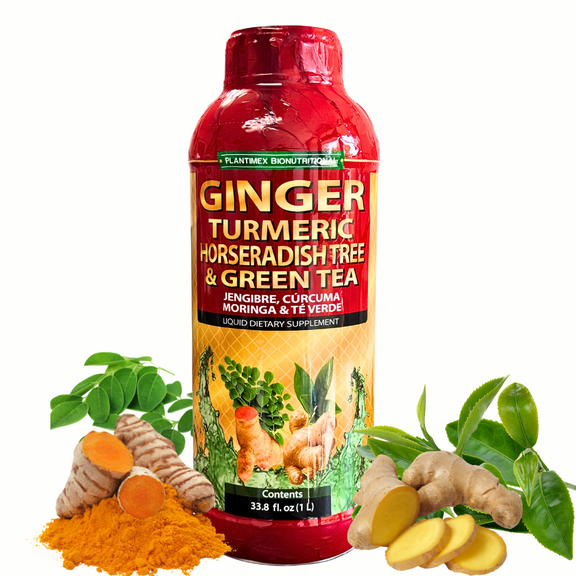 PLANTIMEX Ginger Turmeric Horseradish Tree & Green Tea Liquid Supplement – 33.8 fl oz (1L) – Herbal Blend with Moringa & L-Arginine – 1 Shot Daily
