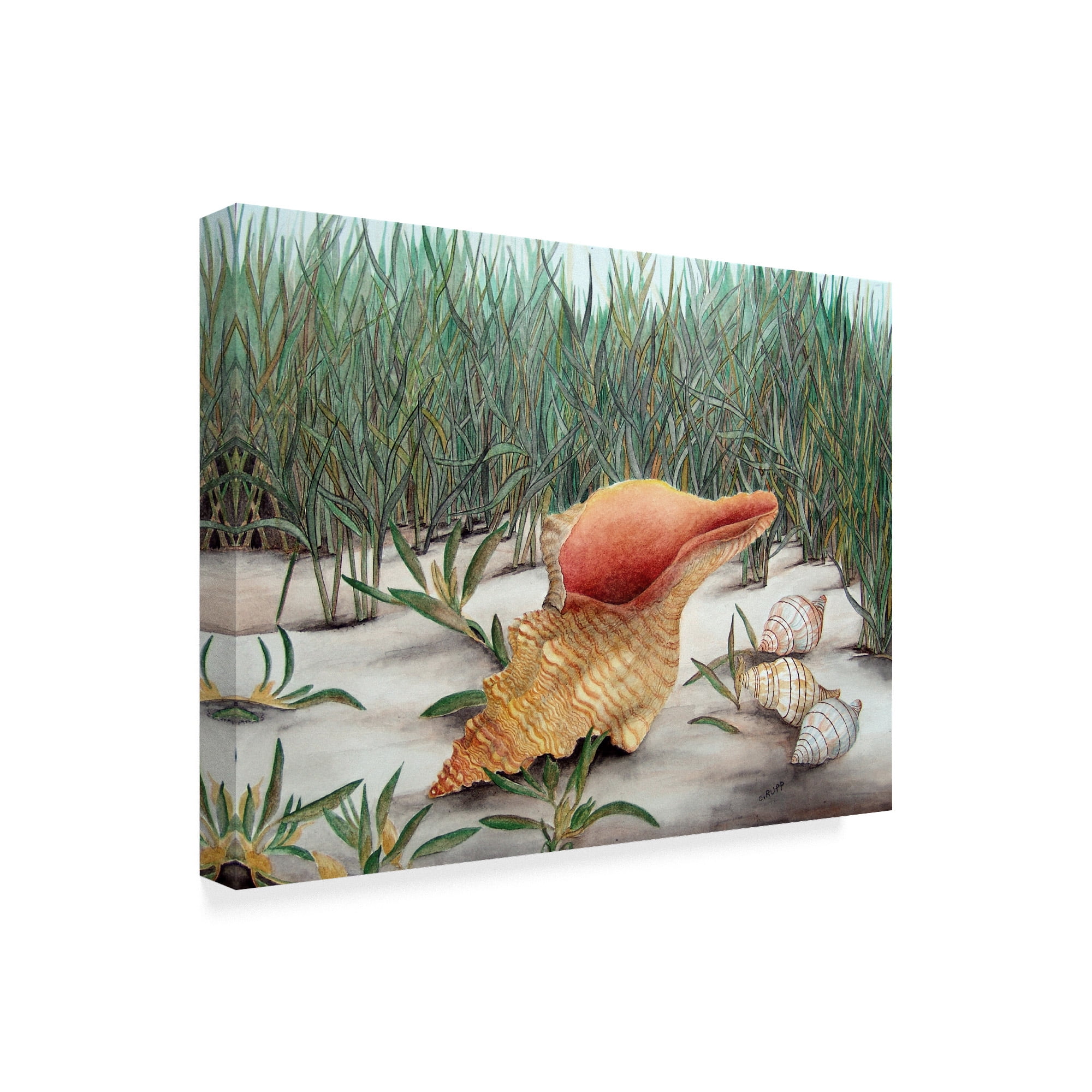 Trademark Fine Art 'Left By The Sea' Canvas Art by Carol J Rupp