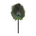 thumbnail image 2 of Expandable Feather Duster for Ceiling Fans, Chandeliers, Ceilings, Blinds, Furniture | 100% Natural Reusable Feather | Long Handle, Rust-Resistant, Anti-Slip Cover | Efficient Dust Removal, 2 of 9