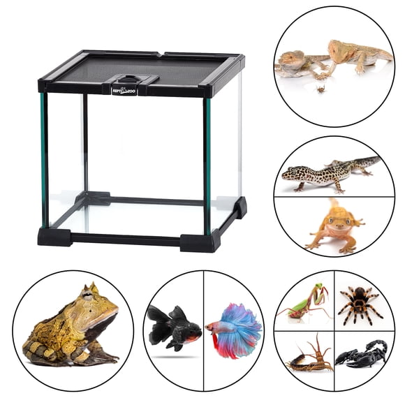 Mini Terrario de Vidrio REPTI ZOO para Reptiles 9Lt 21cm X 21cm X 20cm