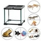 thumbnail image 1 of Mini Terrario de Vidrio REPTI ZOO para Reptiles 9Lt 21cm X 21cm X 20cm, 1 of 12