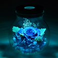 thumbnail image 3 of Regalo Navideño Para Mujeres: Rosas Frescas Con Luces De Colores De Colores, Botella De Deseos Blanca, 3 of 5