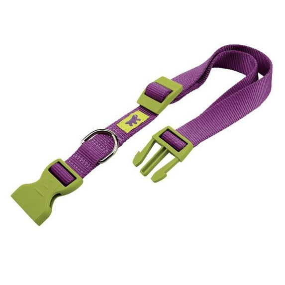 PACC Pets 75260902 Club C20 & 56 Colors 0. 75 inch Dog Collar, Purple