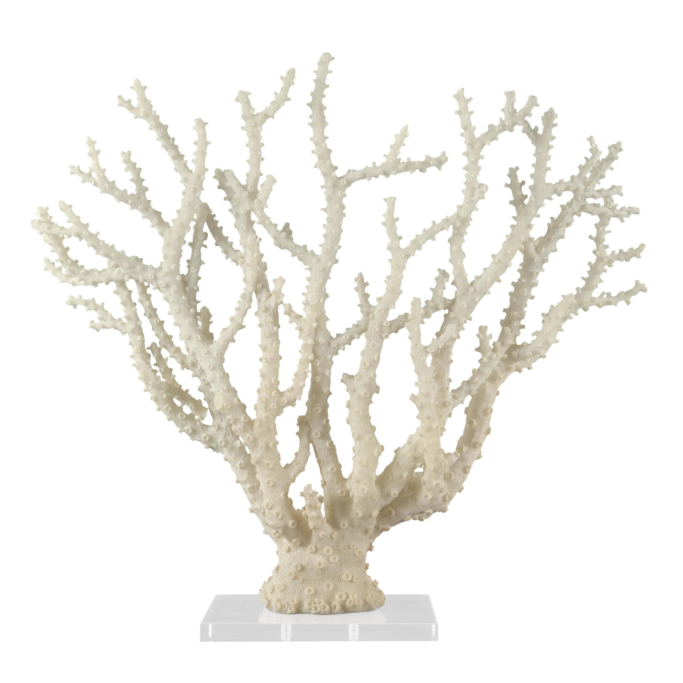 26" x 23" Cream Polystone Coral Sculpture with Clear Acrylic Base, by DecMode