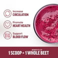 thumbnail image 4 of Total Beets Organic Beetroot Powder, Superfood to Boost Daily Nutrition, USDA Organic, Vegan, Gluten-Free, and Non-GMO Beet Supplement, Unflavored, 90 Servings by Force Factor, 4 of 10