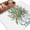 Green, variant on 8'x10' Area Rugs, Sage Green Eucalyptus Leaves Indoor Outdoor Area Rug for Living Room Bedroom, Pastoral Summer Botanical Elegant Washable Bathroom Rugs Kitchen Floor Carpet Mats Home Decor Aesthetic