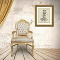 thumbnail image 3 of Vision Studio  20x24 Gold Ornate Wood Framed with Double Matting Museum Art Print Titled - Antique Black and White Botanical III, 3 of 4