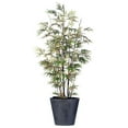 thumbnail image 1 of Vickerman 261705 - 88" Black Bamboo Palm / Black Metal (T11025) Palm Home Office Tree, 1 of 1