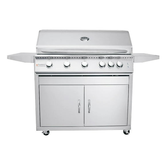 RCS Premier Series 40-Inch 5-Burner Natural Gas Grill With Rear Infrared Burner & Grill Lights - RJC40ALCK
