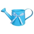 thumbnail image 2 of Metal Watering Can with Ribbon Bow,1 Gallon Watering Can Metal,Vintage Sprinkling Tin Watering Can for Indoor Outdoor Plants, Galvanized Steel Watering Cans for Flower, 2 of 5