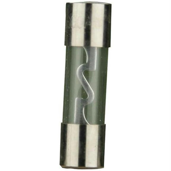 Agu Fuse, 10 Pk -60 Amp