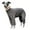 Grey, variant on HQREA Fullbody Greyhound Dog Winter Coat Clothes Turtleneck Four-Legged Dog Onesie Pajamas