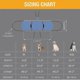 thumbnail image 5 of Dog Carry Sling, Emergency Backpack Pet Legs Support & Rehabilitation Dog (black) Lift Harness For N, 5 of 5