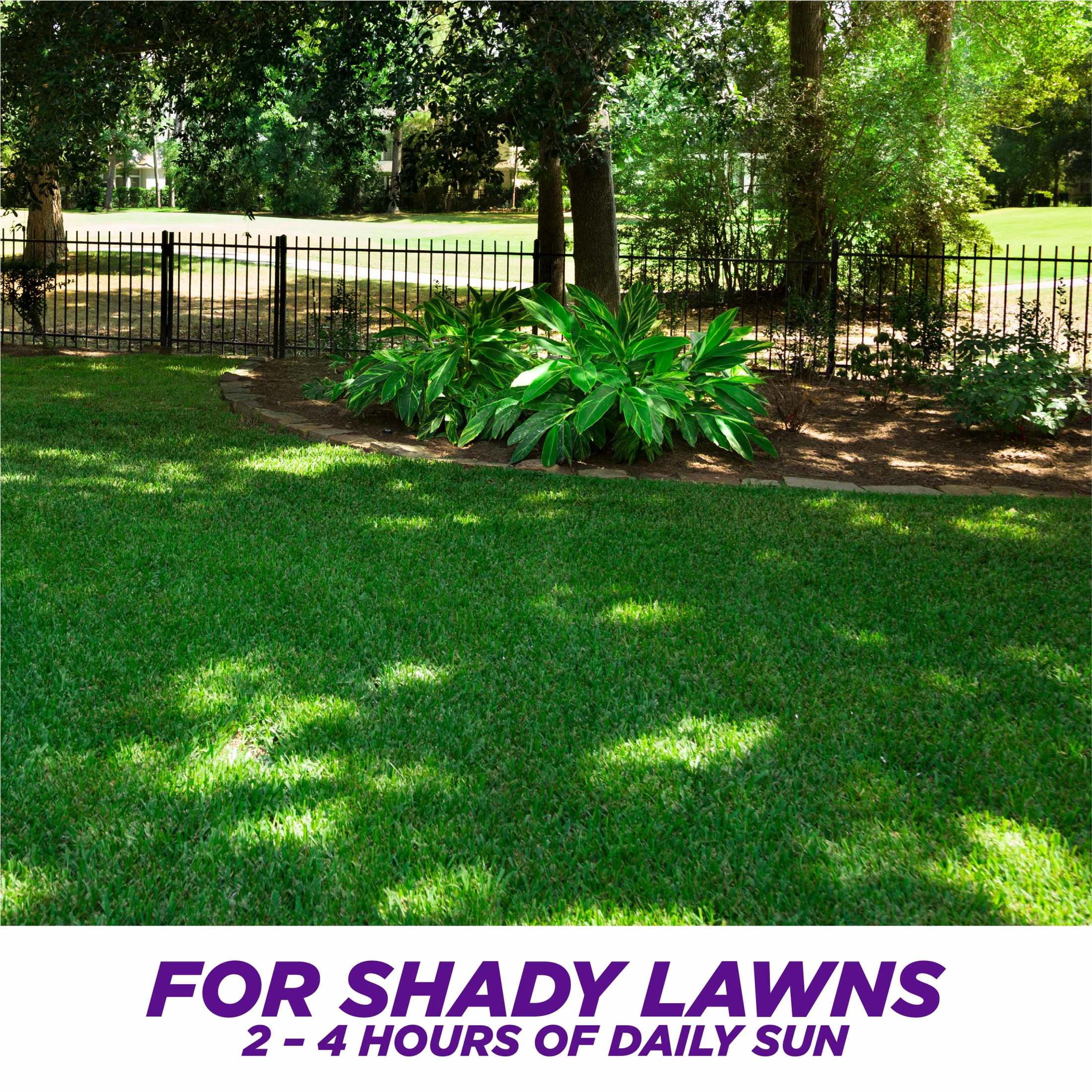 Pennington One Step Complete Dense Shade Patch & Repair Grass Seed Mix, Partial to Full Shade, 10 lb