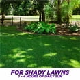 thumbnail image 5 of Pennington One Step Complete Dense Shade Patch & Repair Grass Seed Mix, Partial to Full Shade, 10 lb, 5 of 10