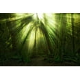 thumbnail image 2 of Zakravsky, Jaroslav 18x13 Gold Ornate Wood Framed with Double Matting Museum Art Print Titled - The Miracle, 2 of 4