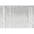 thumbnail image 2 of Simone, Aglioni 14x11 Gold Ornate Wood Framed with Double Matting Museum Art Print Titled - Trees, 2 of 4