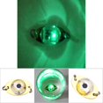 thumbnail image 4 of Mini Lámpara De Pesca, Conveniente Para Usar Lámpara De Pesca Intermitente Lámpara De Pesca Intermitente, El Mejor Regalo Para Pescar Padre Hijo Esposo Prometido Y Novio ANGGREK EETJA0, 4 of 5