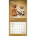 thumbnail image 3 of Yoga Puppies & Kittens Together OFFICIAL 2026 7x14" (Hanging) Wall Calendar | Plato, 3 of 9